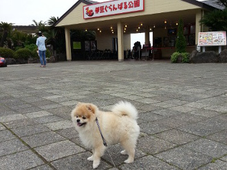 ペットと乗り物に乗れる遊園地