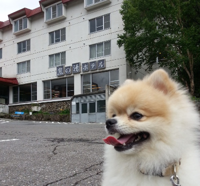 熊の湯
