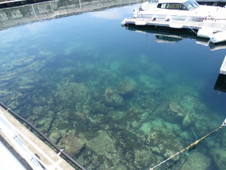 伊東マリンタウン