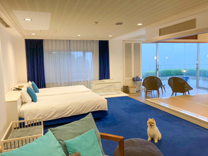 リゾナーレ熱海 ペットと泊まれる客室