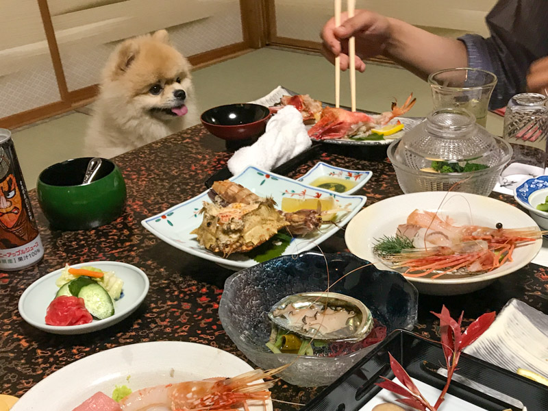 割烹旅館 さつき 夕食