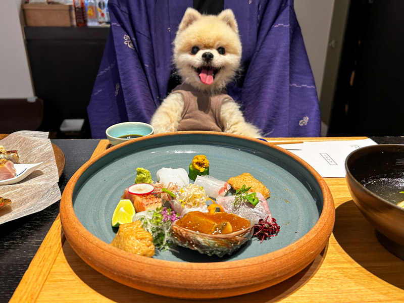 愛犬と泊まれる宿 D＋KIRISHIMA 夕食