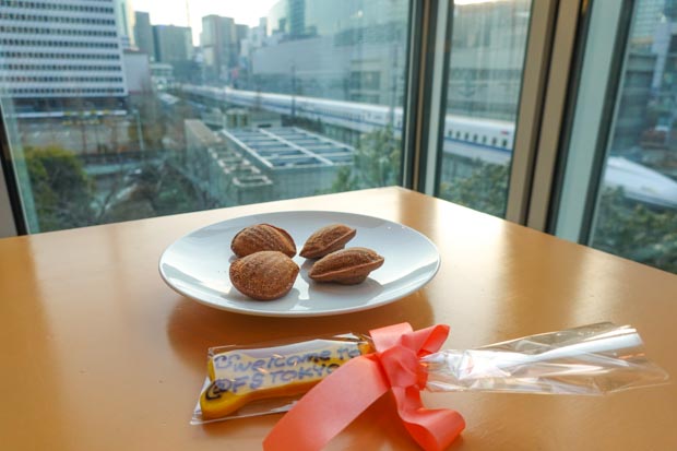 フォーシーズンズホテル丸の内東京 ペットと泊まれる客室からの景色