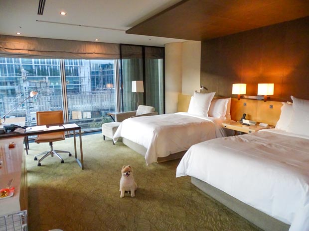 フォーシーズンズホテル丸の内東京 ペットと泊まれる客室