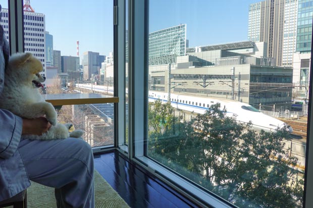 フォーシーズンズホテル丸の内東京 ペットと泊まれる客室からの景色