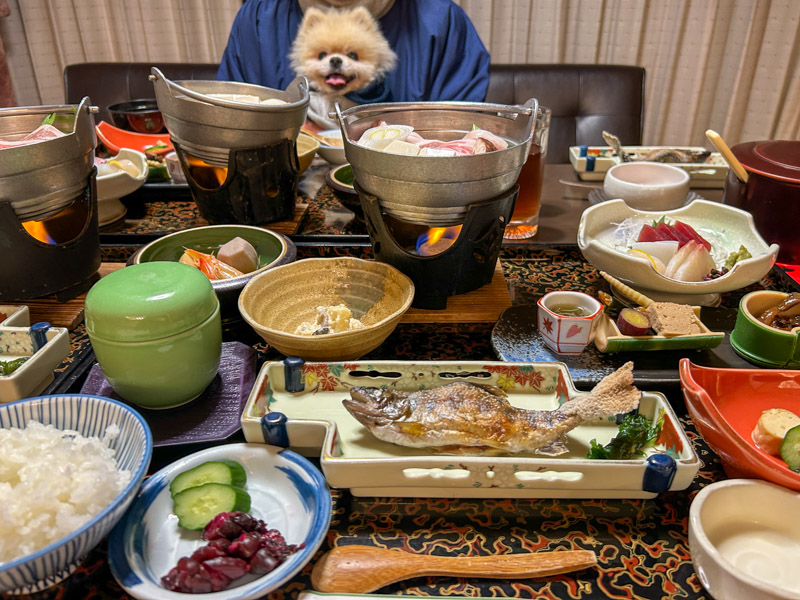 塩原元湯温泉 秘湯の宿 元泉館