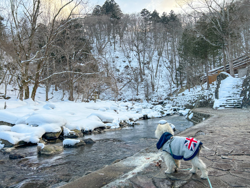 塩原元湯温泉 秘湯の宿 元泉館