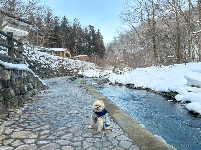 塩原元湯温泉 秘湯の宿 元泉館