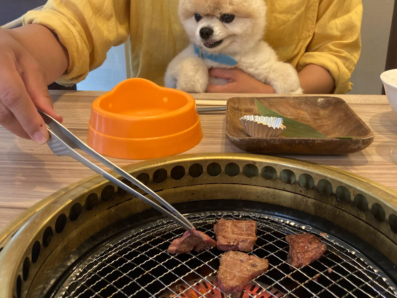 うしすけ