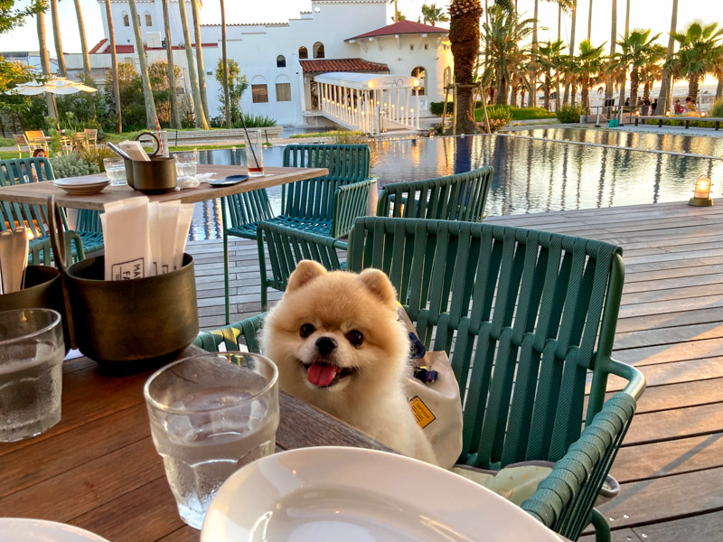 MALIBU FARM テラス席