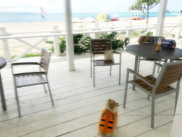 オクマ プライベートビーチ＆リゾート テラスペットOKのカフェ