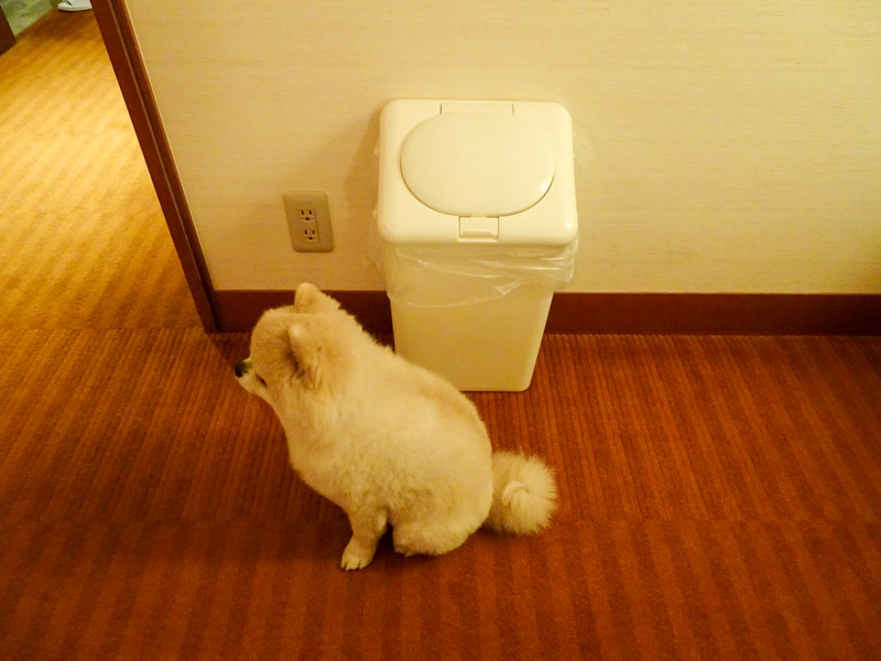 ペニンシュラ東京 ペット用アメニティ