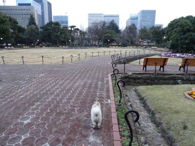 ペニンシュラ東京 散歩