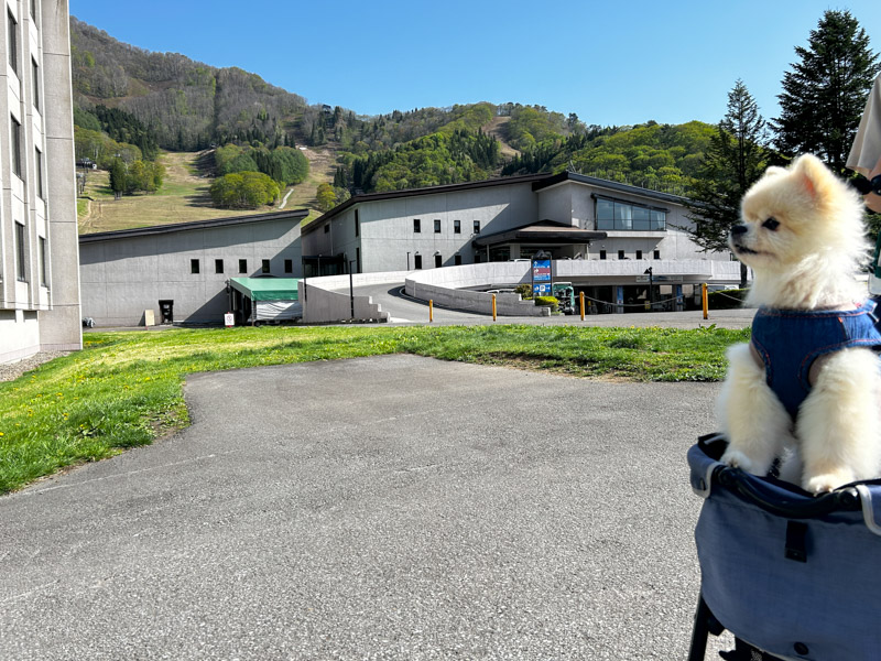 ホテルタングラム 斑尾東急リゾート