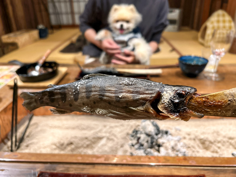 秘境冒険民宿 山人砦 夕食