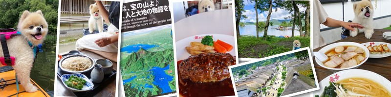 福島 販売 県 ペット 同伴 宿