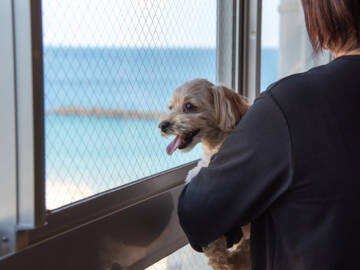 浜辺のお宿　相差パシフィックホテル