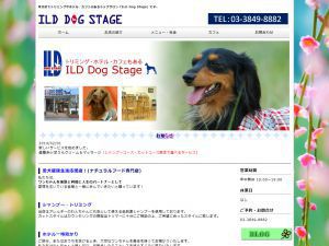ILD Dog Stage