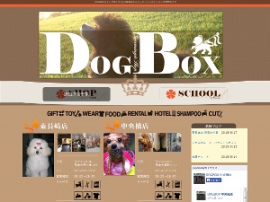 DOG　BOX中央橋店