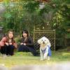 愛犬と泊まる温泉旅館ステイ（食事処　松コース）のペットと泊まれるプラン