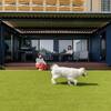 【愛犬と一緒にご宿泊！】＜プライベートサウナ付きヴィラ＞手ぶらでBBQが楽しめるグランピングプランのペットと泊まれるプラン