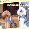 【愛犬と一泊】いぬ旅日和 U。・ェ・。U 〜大切な家族と過ごす休日〜【素泊まり】のペットと泊まれるプラン
