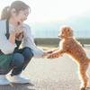 ★[１室３匹小型犬ＯＫ]ワンちゃんと一緒に東横インに泊まろう！dt★のペットと泊まれるプラン