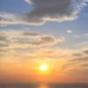 【年末年始】愛するペットと過ごす年の瀬のひととき──海の幸と絶景温泉の饗宴のペットと泊まれるプラン