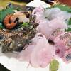 【7/19〜8/31】【現金決済用】夏のお刺身特典付きプラン！のペットと泊まれるプラン