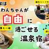 【またきてな関西旅】初めてご利用になるわんちゃんへおすすめ☆スタンダードバイキングプラン☆彡のペットと泊まれるプラン
