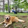 【楽天トラベルサマーSALE】今だけお得♪大型犬・多頭飼い歓迎！A5ランク信州牛or国産和牛ステーキのペットと泊まれるプラン