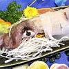 【女将厳選】夏限定！“白イカづくし”と黒毛和牛を味わう贅沢美食プラン(13品)のペットと泊まれるプラン
