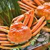 【楽天スーパーSALE】《タグ付活松葉がに堪能会席》蟹刺し・焼き蟹・蟹天ぷらなどカニフルコースのペットと泊まれるプラン
