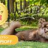 【看板犬ランキング★入賞記念】お一人様3000円OFF！愛犬と楽しむ1泊2食+お夜食飲み放題プラン♪のペットと泊まれるプラン