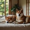 【愛犬と一緒プラン】＜1泊2食＞心ほどける逸品神石牛を堪能！愛犬と過ごす湖畔の休日のペットと泊まれるプラン
