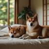 【楽天月末セール】【愛犬と一緒プラン】＜1泊2食＞心ほどける逸品神石牛を堪能！愛犬と過ごす湖畔の休日のペットと泊まれるプラン