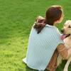 【楽天スーパーSALE】【朝食ビュッフェ付】愛犬と食事も寝る時もずっと一緒のペットと泊まれるプラン