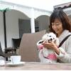 【楽天トラベルサマーSALE】【1泊2食付】わんちゃんも一緒♪ラブリードッグプランのペットと泊まれるプラン