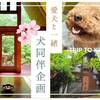 【ご愛犬と一緒に宿泊♪】コテージさくらの村限定プラン☆部屋食プラン 〜夕食はお部屋でのプランイメージ