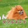 （冬季）【カジュアルプラン×わんダフルステイ】陶板焼きで但馬牛を堪能＜▼美味少量御膳＞のプランイメージ