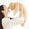 ワンちゃんと一緒にペット専用コテージ宿泊【素泊まり】波音×温泉でリフレッシュ！当日22時まで予約OKのペットと泊まれるプラン
