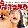 【素泊まり】愛犬とご一緒に♪1室限定！注意事項を必ずご確認ください(通年)のペットと泊まれるプラン