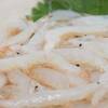 【期間限定】富山湾の宝石　幻の逸品白エビを満喫！海の恵みに感動のプランイメージ
