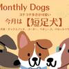 【短足犬集まれ〜！　7月限定犬種別プラン】愛犬のご褒美　7大特典付きのプランイメージ
