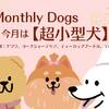【超小型犬集まれ〜！　8月限定犬種別プラン】愛犬のご褒美　7大特典付きのペットと泊まれるプラン