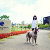 【楽天スーパーSALE】【夕朝食お部屋食付】ラグジュアリーヴィラで愛犬と優雅にご滞在のペットと泊まれるプラン