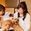 【愛犬と同室宿泊♪】＜ご夕食時間：17:30〜19:00＞ご夕食は三大蟹食べ比べ！『蟹づくし会席膳』のペットと泊まれるプラン