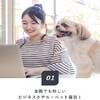 【Dog×Stay】〜ワンちゃん同伴宿泊プラン〜【全室スランバーランドベッド】のペットと泊まれるプラン