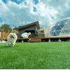 【スパークリングワイン1本付き】愛犬と楽しむ1泊2食【HANABUSA DOGlamping】のプランイメージ