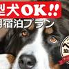 【楽天スーパーSALE】【中・大型犬専用プラン】愛犬同伴可｜広々ドッグラン選択可／こだわりの朝食付のペットと泊まれるプラン